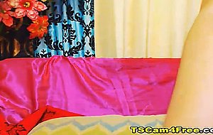 Lovely Tranny Faps her Dick on Cam
