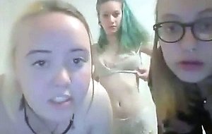 Three young chicks on webcam
