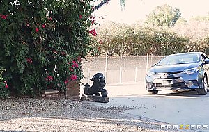 Two pairs of amazing tits for one lucky dick