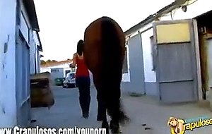 120 Natural Boobs Making BlowJob