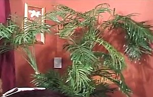 One vibrator for both bums