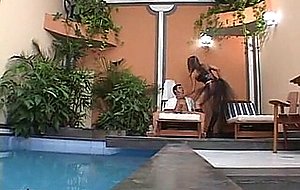 This tranny is yours, guy!