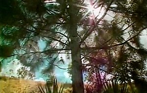 Vintage outdoor shemale fucking