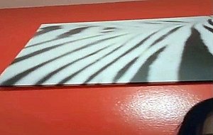 Fun with a thai ladyboy