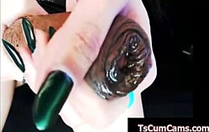 Mint ladyboy self sucking monsterdick