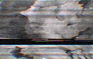 Crazy cum blast compilation