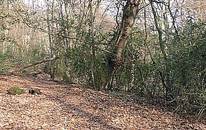 Danielle getting naughty 3