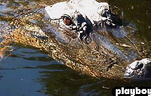 Hot blonde lesbian babes touched guys big aligator