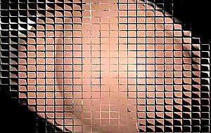 Full mix beauty girls