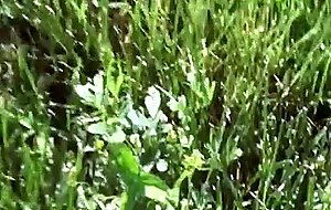 Maryjane mayhem - i know that girl - 12-08-