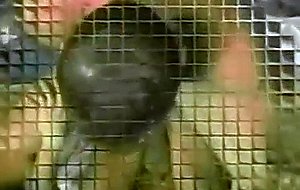 Amateur busty tranny fucked sieways