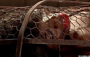 Ebony sub in wire cage vibrated