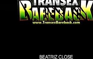 Brazilian tranny ass slammed bareback