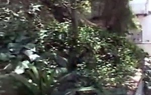 Tittenmoms outdoor fucking