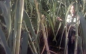 Violation of the bitch - SEXTVX.COM