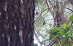 Shemale teenage transsexuals