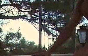 Shemale teenage transsexuals