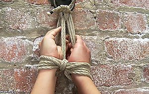 Dyke in inverted suspension gets anal