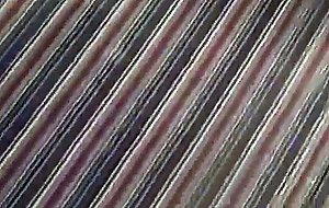 Duke's pornstar superbe knox in a pov