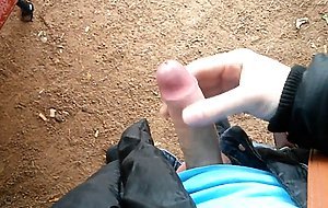 German Stud Public Park Jerk And Cum