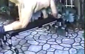 Daddy Bears on a Bench