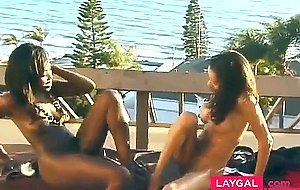 Black and Ebony Scissoring