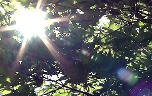 Juq-147 [sub] at a business hotel on a business trip, i