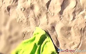 il leche une chatte a la plage
