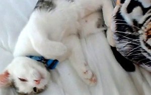 Camgirl May Marmalade