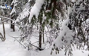 Swife katy, winter loneliness