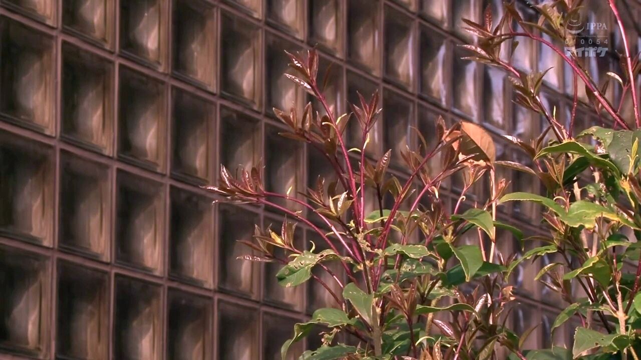 Ipzz-242 educator trainee, in captivity... swimming club advisor karen  kaede was gang by her HD porn - SEXTVX.COM