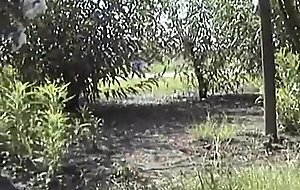 French daughter and mother outdoor