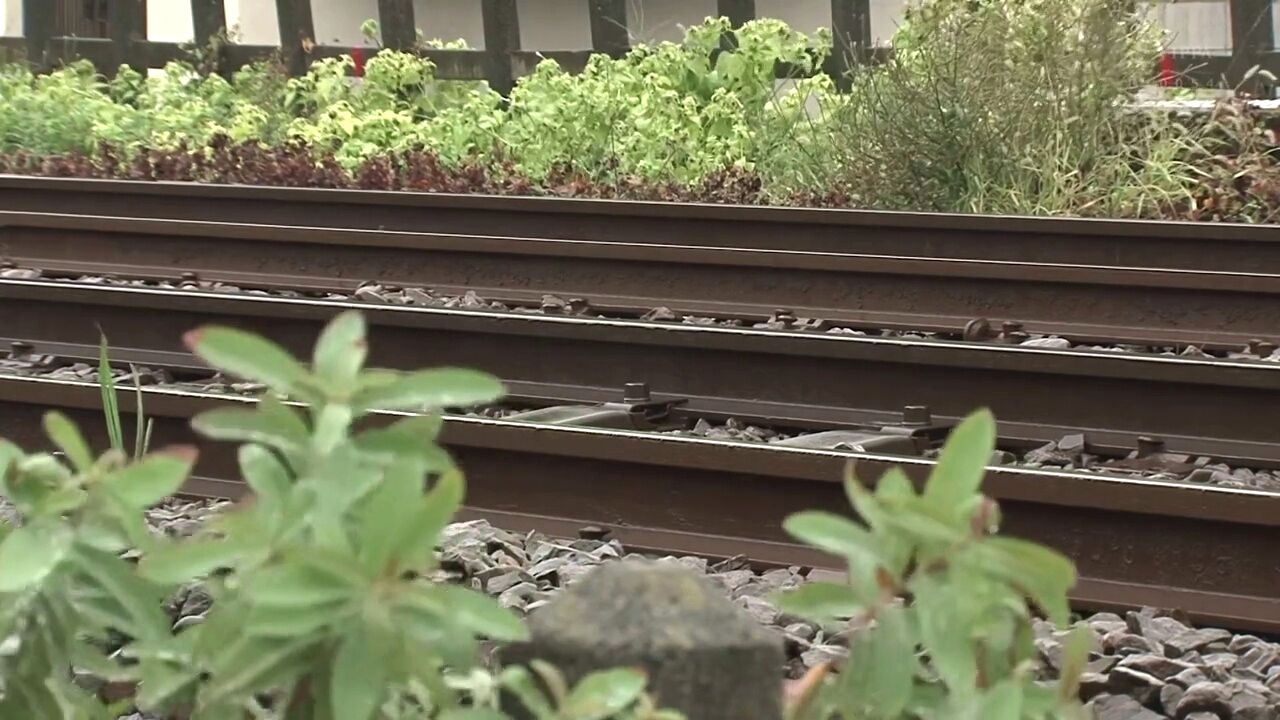 Ipx-675 a business trip destination suddenly goes to a shared room with a  virgin subordinate due to HD porn - SEXTVX.COM