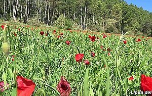 Linda del sol, la primavera la sangre altera