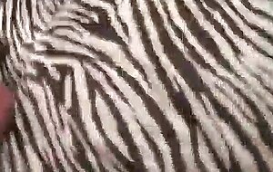 King of amateur pornoo maxxx loadz amateur hardcore videos the italian pound machine the gentleman