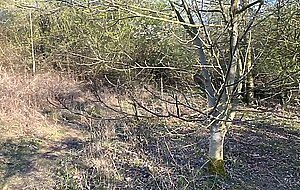 she came with me after school and I fucked her in the woods