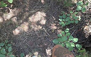 Fucked a stranger with my stepsister in the forest