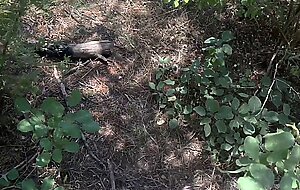 Fucked a stranger with my stepsister in the forest