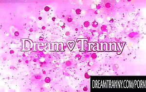 Dream Tranny - Busty Shemales Ream Each Others Assholes Compilation