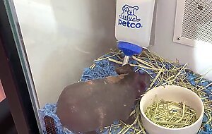 Petite teen slut khloe kapri exposed in public and sucking cock pov