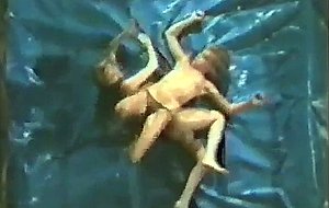 Cheesy 80s erotic oil wrestling women nude vhs rip