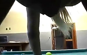 Amazing cock riding on a pool table