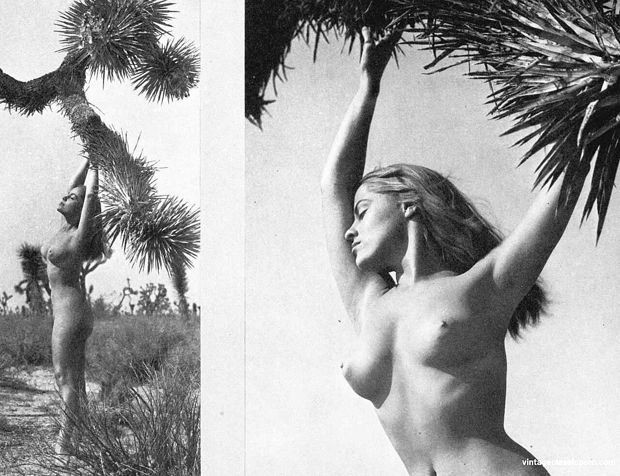 Gorgeous Vintage Model Diane Webber Poses Naked And Teases With Her Big Tits Retro, Vintage, Vintage-Classic